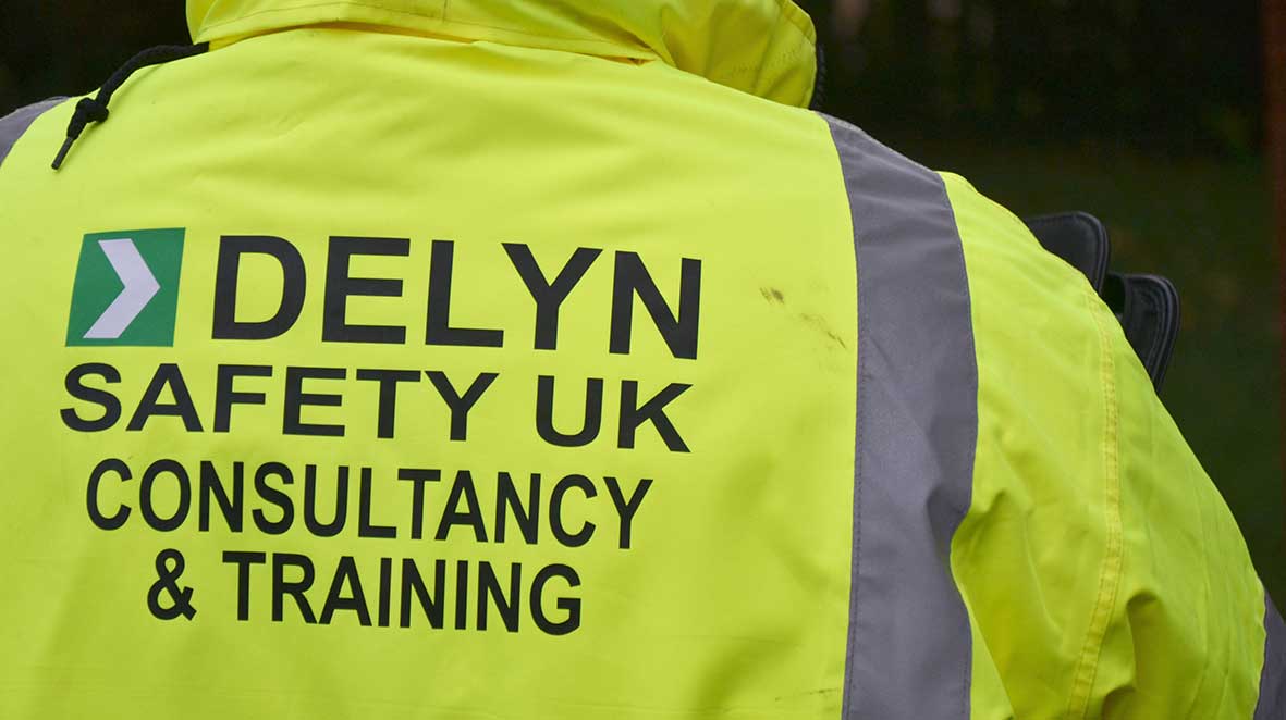 delyn safety fire risk assessment